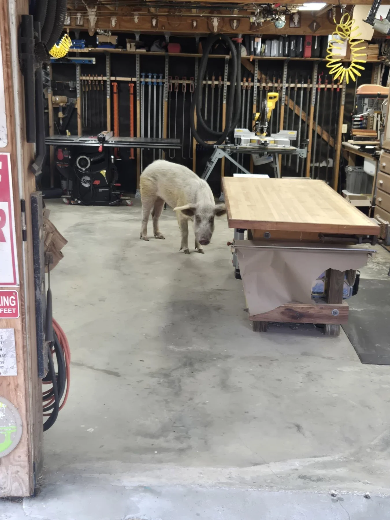 Tables and woodworking projects inside the shop